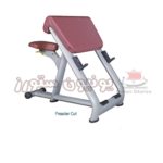 دكة باي (حصان)